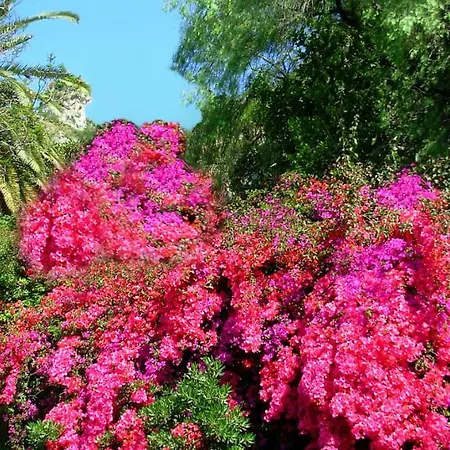 Villa Oasiparadiso *